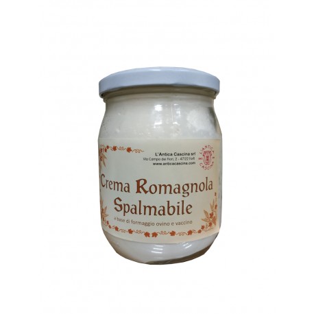 CREMA ROMAGNOLA 4 FORMAGGI 550gr ANTICA CASCINA